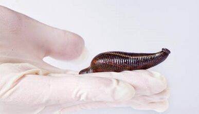 Leech Cream- ը անդամակցելու համար